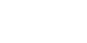 Zammler Logo